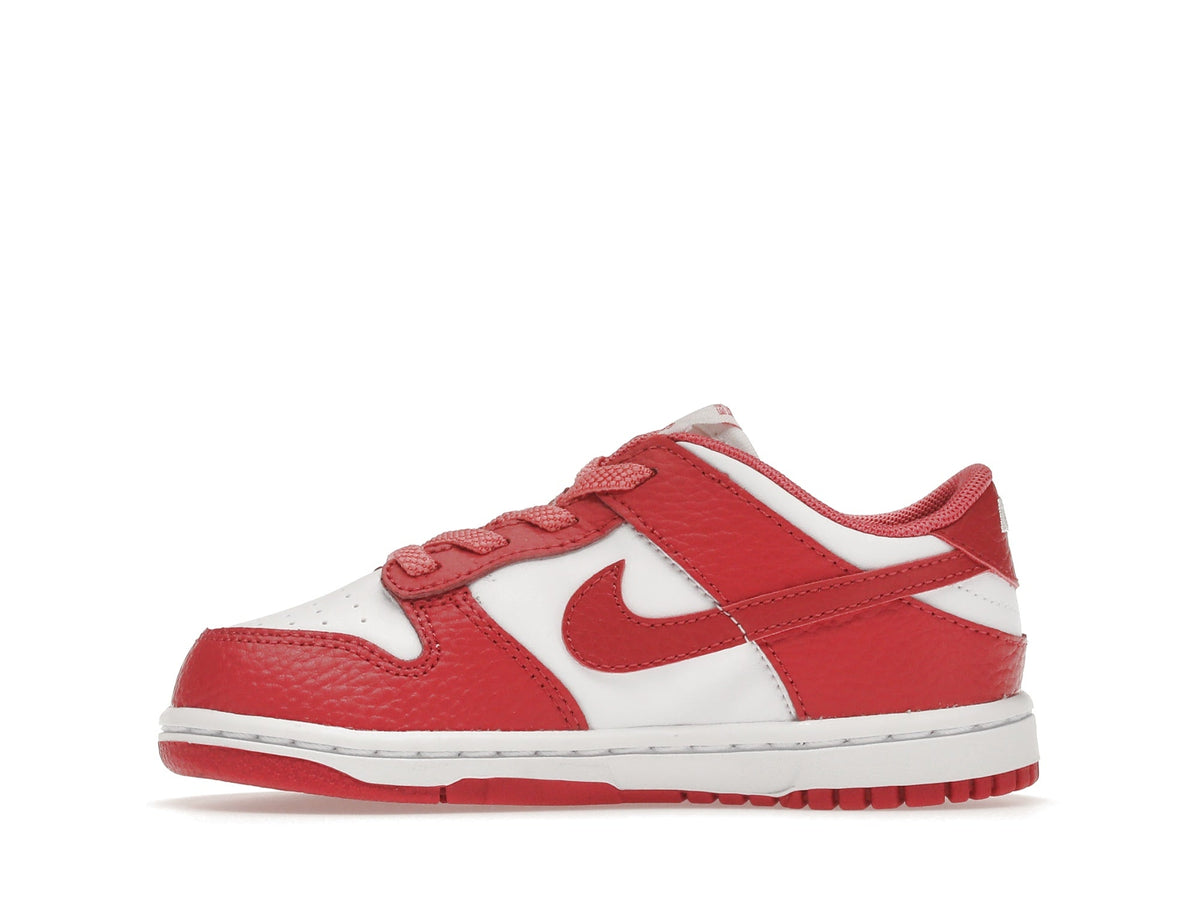 Nike Dunk Low White Gypsy Rose (TD)